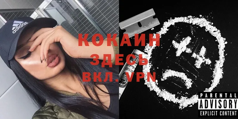 Cocaine FishScale  Верхняя Пышма 